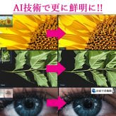 日本製 ウィノルド リース A3 サイズ ポスター アート おしゃれ 絵画 インテリア 北欧 イラスト マット紙 艶消し アートパネル 額 フレーム デザイン 壁掛け ギフト 新築祝い ディスプレイ  速達 送料無料