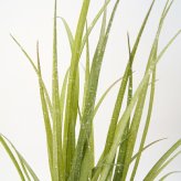 観葉植物 造花 グラス BROWN 全高約65cm 卓上・小型 フェイクグリーン 本物そっくり おしゃれ インテリア 人工観葉植物 アーティフィシャルグリーン オフィス 店舗 ホテル 開店祝い 室内 ミニ ナチュラル 草 フェイク