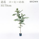 観葉植物 造花 コーヒーの木 BROWN 全高約170cm 大型 スリム フェイクグリーン 高級 本物そっくり リアル おしゃれ インテリア 人工観葉植物 アーティフィシャルグリーン カフェ オフィス 店舗 開店祝い 室内 リビング 玄関 寝室 風水 コーヒーノキ