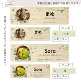  遺毛ケース 桐 写真入り ペット 毛 ひげ 髭 ヒゲ 犬 猫 鳥 ハムスター うさぎ 名入れ フルカラー メモリアルケース メッセージ 愛犬 愛猫
