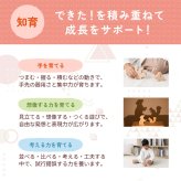 【名入れ】【型はめパズル】【出産祝い】【1歳誕生日プレゼント】【動物（シカ・ウサギ・リス・クマ）】【4個セット】ギフト/ラッピング無料/木のおもちゃ/木製玩具/無塗装/積み木/ごっこあそび/赤ちゃん/男の子/女の子 『ブロットプロジェクト|PICTO TSUMIKI - Forest & puzzle』