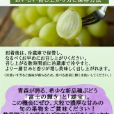 れいたす 青森産 シャインマスカット 富士の輝き・雄宝 選べる2サイズ, 800g 1.6kg