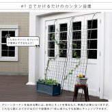 アイアンフェンス アイアン製グリーン グラフ フェンス アイアン グリーン ゴーヤ 薔薇 バラ 朝顔 庭 ベランダ ガーデニング 枠 柵 仕切り 目隠し 境目 アンティーク トレリス 園芸 ラティス 屋外 ガーデンフェンス 目隠しフェンス 園芸フェンス 新生活