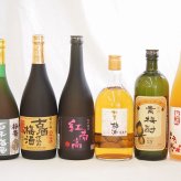 梅酒6本セット(加賀梅酒(石川県) 貴梅酎スピリッツ25度(和歌山) 古酒仕込み梅酒 紅南高梅酒20度(和歌山) 高千穂産梅使用熟成梅酒 梅香 百年梅酒(茨城)) 720ml×6本