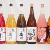 贅沢梅酒6本セット(おばあちゃんの梅酒 芳醇ブランデー仕立チョーヤ梅酒 ローズ梅酒(愛知) 赤しそ赤い梅酒(和歌山) 蜂蜜梅酒(和歌山) 緑茶梅酒(和歌山県)) 1800ml×6本