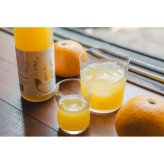 THE 八朔 生（PURE）｜果汁純度100％ストレートジュース 500ml