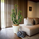 観葉植物 造花 ユーフォルビア BROWN 全高約147cm 大型 フェイクグリーン 本物そっくり おしゃれ インテリア 人工観葉植物 アーティフィシャルグリーン オフィス 店舗 ホテル 開店祝い 室内 多肉植物 フェイク