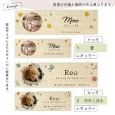  遺毛ケース 桐 写真入り ペット 毛 ひげ 髭 ヒゲ 犬 猫 鳥 ハムスター うさぎ 名入れ フルカラー メモリアルケース メッセージ 愛犬 愛猫