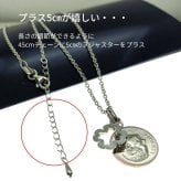 誕生年のラッキーコインでつくるネックレス【誕生年 ラッキーコイン ネックレス】 女性に贈る 誕生日プレゼント 二十歳のお祝い 18歳 卒業 入学 母の日 喜寿77歳 古希70歳 還暦60歳 70代 60代 50代 40代 30代