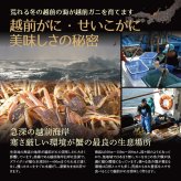 せいこ蟹 甲羅盛り 【数量限定】 越前がに 海鮮 詰め合わせ 福井県産 【冷凍便】美味しい贈物 お歳暮 ギフト