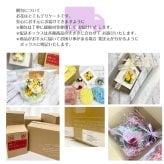  誕生日 プリザーブドフラワー ガラスドーム りんご 可愛い 女性 男性 結婚祝い 出産祝い 母の日 敬老の日 お供え お見舞い インテリア 送別  開店開業祝い ホワイトデー 記念日
