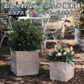 植木鉢 おしゃれ 大型 テラコッタ 素焼き アンティーク調 モカブラウン 角型 キューブ 正方形 KONTON コントン テラアストラ カペラキュビ AS-FQ6X L M S 約16号 約12号 約9号 底穴あり 屋外 テラス 庭 玄関 オリーブ 観葉植物 シンボルツリー デザイナー 大型プランター