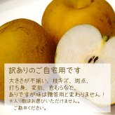 予約販売 訳あり 梨 千葉県市川産 いちかわの梨 3kg 幸水 豊水 秋月 B級品 自宅用 家庭用 和梨 なし フルーツ 果物 旬の味覚 お取り寄せ グルメ お盆 暑中見舞い 残暑見舞い