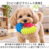 犬 おもちゃ 10個セット 通販 コットンロープ デンタルケア 運動不足解消 引っ張り合い 一人遊び 投げて遊ぶ 水洗い可能 耐久性抜群 噛むおもちゃ 室内屋外兼用 多頭飼い ペット用おもちゃ 安全素材 ストレス発散 小型犬
