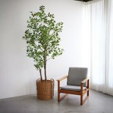観葉植物 造花 斑入りベンジャミン BROWN 全高約150cm 大型 ゴムの木 フェイクグリーン 本物そっくり おしゃれ インテリア 人工観葉植物 アーティフィシャルグリーン オフィス 店舗 ホテル 開店祝い 室内 ベンジャミン 斑入り フィカス フェイク