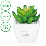 名入れ CT触媒グリーン アガベ セダム 造花 空気 きれい ラッピング ギフトバッグ プレゼント クリスマス ホワイトデー 開店祝い 出産祝い 彼氏 彼女 誕生日 父の日 母の日 敬老の日 誕生日 夫婦 結婚祝い 内祝い 名入れギフトの日