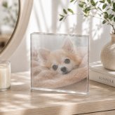 愛犬 ガラスブロック チワワ コーギー ギフト ディスプレイ ペットロス 贈り物 愛犬家 記念日 ペットグッズ おしゃれ マルチーズ 犬 ペット フォトフレーム 虹の橋 置き物 写真立て メモリアルプレート うちの子記念日 オリジナル ペット写真 オーダーメイド メモリアル メモリアルグッズ うちの子 ペット仏壇 記念 誕生日 サプライズ プレゼント 名入れ クリスタル 記念品 写真【c01】