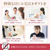 そのまま飾れる アレンジメント Mサイズ 敬老 お中元 敬老の日 退職 入学 送料無料 土日発送OK アレンジ 誕生日プレゼント バラ ギフト フラワー 花束 生花 お祝い フラワーギフト 花 花瓶いらず プレゼント 花 ギフト 50代 60代 70代