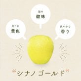 長野県産りんご3兄弟セット シナノスイート 秋映 シナノゴールド ご贈答 果物 フルーツ お取り寄せ 産地直送 【送料無料(一部地域除く)】