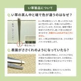 ラグ カーペット 国産 い草 玄関マット エルモード 約30×120cm 裏貼り 滑り止め加工 インテリアマット あがりかまち 上がり框 かまち用 モダン