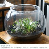 FOYER ホワイエ PV球形 直径34.5cm 口径25cm