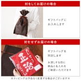  【 送料無料 】【 名入れ 感謝っPシャツ 】 名前入り ポロシャツ プレゼント メンズ 人気 父 誕生日 50代 メッセージ 半袖 メッシュ 名入り ギフト 男性 60代 おもしろ 記念日 還暦 長寿 退職 祝い 旦那 祖父 母 女性 父の日