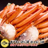 ギフト 海鮮 4Lサイズ ズワイガニ ボイル 3肩 約1.2kg 極寒の北の海で獲れたカニの女王ずわいがに 【かに/カニ/蟹/ズワイ蟹/ボイルズワイガニ/プレゼント/贈答/高級】