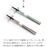 箸 箸置き 二膳 ギフトセット お箸 セット ペア ブックケース ヴェール キャレ 高級 夫婦箸 和食器 食洗機対応 ギフト プレゼント 木婚式 記念 記念品 お祝い 新居 新生活 引っ越し祝 新築祝 結婚祝 長寿祝 結婚記念日 国産 ピンク ブルー グリーン ゴールド 敬老の日