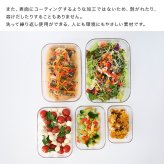 EMBALANCE エンバランス 保存容器 380ml クリアコンテナ XS[保存容器 クリア プラスチック 透明 中身が見える 保存ケース 薄型 容器 日本製 おしゃれ 弁当箱 ご飯 保存 保存用 小分け 小型 ミニ 小さい フードコンテナ BPAフリー 四角]