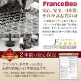 フランスベッド ツインサポートスプリングマットレス セミダブル 高密度連続スプリングマットレス 防ダニ 抗菌 防臭 寝具 日本製 国産 マットレスのみ ツインサポート