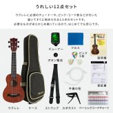 初心者でも始めやすい ウクレレ 12点セット 21インチ(ソプラノ)