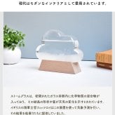 ストームグラス 雲 名入れ 誕生日 記念日 還暦祝い 発表会 結婚祝い 出産祝い 新築祝い インテリア雑貨 おしゃれ オブジェ 気温 天候予測器 クラウド 北欧 雑貨 お祝い メッセージ UVプリント【雲型オブジェ】goods-008