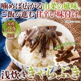 国産ふき使用 浅炊き きゃらぶき 2袋 佃煮 惣菜 ご飯のお供 おつまみ おかず ポスト投函便