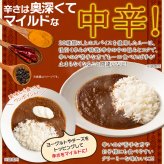 日本食研 レトルト 食研カレー 4食 レトルトカレー 温めるだけ 惣菜 おかず ご飯のお供 ポスト投函便