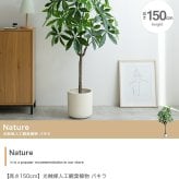 照明 ライト パキラ 観葉植物 人工 フェイクグリーン 室内 リビング オフィス 一人暮らし 緑 インテリア 光触媒 空気清浄 消臭 抗菌 防汚 ホルムアルデヒド分解 おしゃれ 高さ150cm 造花 植木 鉢植え 新築祝い 開店