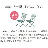 チェア 椅子 アイアン製ガーデン 2脚セット 「Sunny Leaf サニーリーフ 」 SPL-9001-2P