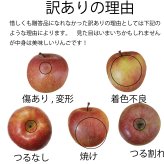 青森県産　りんご　ジョナゴールド　訳あり　5kg　送料無料！