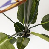 観葉植物 造花 ストレリチア BROWN 全高約126cm 大型 フェイクグリーン 本物そっくり おしゃれ インテリア 人工観葉植物 アーティフィシャルグリーン オフィス 店舗 ホテル 開店祝い 室内 極楽鳥花 オーガスタ フェイク