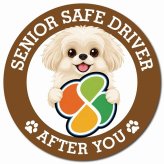 カーサイン 高齢者マーク SENIOR SAFE DRIVER ペキプー マグネット 強力 直径13cm 肉球 日本製 車 ステッカー