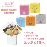 ハッピースマイリー 焼き菓子 チョコ 詰め合わせ ギフト 3種8個入 計20セット クッキー パイ スイーツ 個包装 チョコレート【北海道・沖縄県・離島 配送不可】