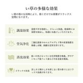 ラグ 長方形 い草 自然素材 シンプル ボーダー 裏面すべり止め付き 滑りにくい 抗菌防臭 約6畳 約240×320cm