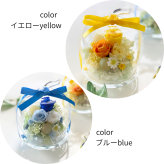  誕生日 プリザーブドフラワー ガラスドーム りんご 可愛い 女性 男性 結婚祝い 出産祝い 母の日 敬老の日 お供え お見舞い インテリア 送別  開店開業祝い ホワイトデー 記念日