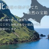 【送料無料】【高級ギフト】北海道　極宝珠漬セットD：2026年 お取り寄せ 北海道 誕生日プレゼント お歳暮 御歳暮 出産内祝い お返し 結婚 母 父 男性 女性 彼氏 彼女 お祝い お礼 お供え 極 海宝 かに うに  詰合せ 海鮮 人気セット 法人　冬ギフト