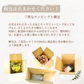 プリザーブドフラワーアレンジメント 【Delight lemon】 黄色と白の優しい色で華やかなプリザーブドフラワーのアレンジメント 御祝いやプレゼントにおススメ。プリザーブドフラワー 誕生日 花 プレゼント お礼 お祝い 本物 ギフト メッセージ ガラスドーム 送料無料 お礼 プリザーブド プレゼント おしゃれ リビング インテリア 枯れない花 土日発送 母の日 敬老の日 お中元 お歳暮