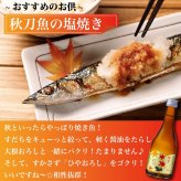 敬老の日 秋季限定 日本酒 飲み比べセット 720ml×5本 送料無料 秋あがり ひやおろし 辛口 酒 お酒 日本酒 純米吟醸原酒 ミニ 小瓶 残暑見舞い 敬老の日 プレゼント ギフト 贈答 贈り物 お礼 お祝い 内祝い お返し お父さん 誕生日 退職祝い 蔵元直送 新潟 高野酒造