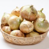 淡路島産 新玉ねぎ 5kg