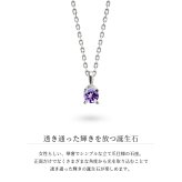 アメシスト アメジスト ネックレス シルバー925 ネックレス 2月誕生石 アメジスト 一粒 銀 チェーン 長さ選べる 40cm 45cm 50cm ギフトラッピング可能 シンプル 華奢 上品 ミリオンベル 彼女 妻 女性 レディース 誕生日 プレゼント ハロウィン 【品番：CG-SP-29051SV-2】
