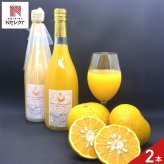 愛媛 エヒメエンゲージファーム サンフルーツジュース 2本 フルーツジュース 果汁飲料 ストレート ジュース 国産