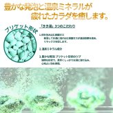 バスクリン　きき湯　58包セット（透明タイプとにごり湯タイプ）日本製　#73414　ギフトに最適