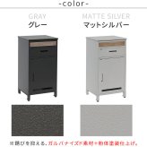 ガーデン エクステリア 宅配ボックス付ポスト JOY ジョイ PST-010